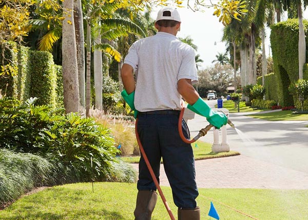 About Glen Riddle Lima PA Pest Control Pros